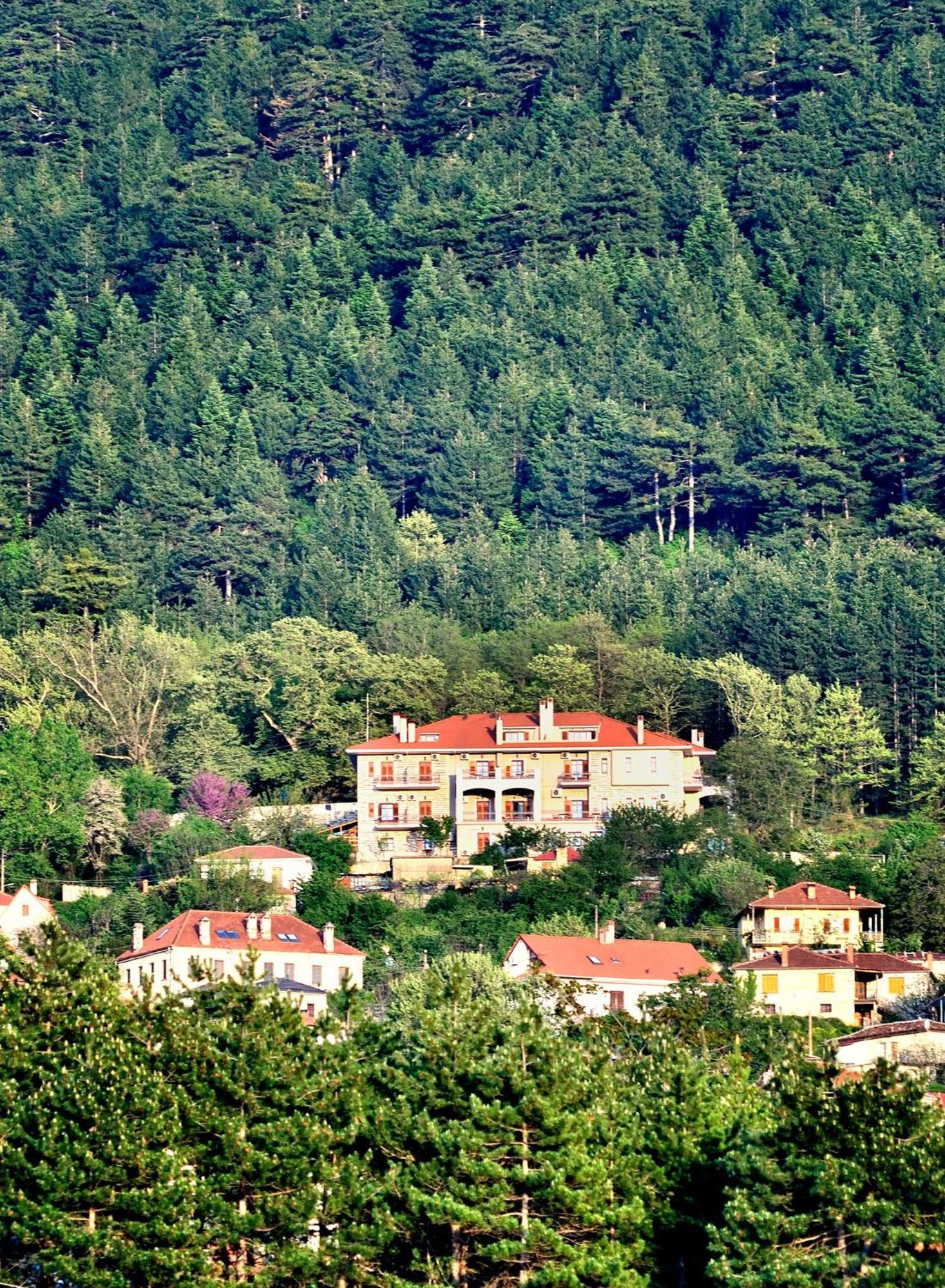 Konitsa Mountain Hotel Dış mekan fotoğraf